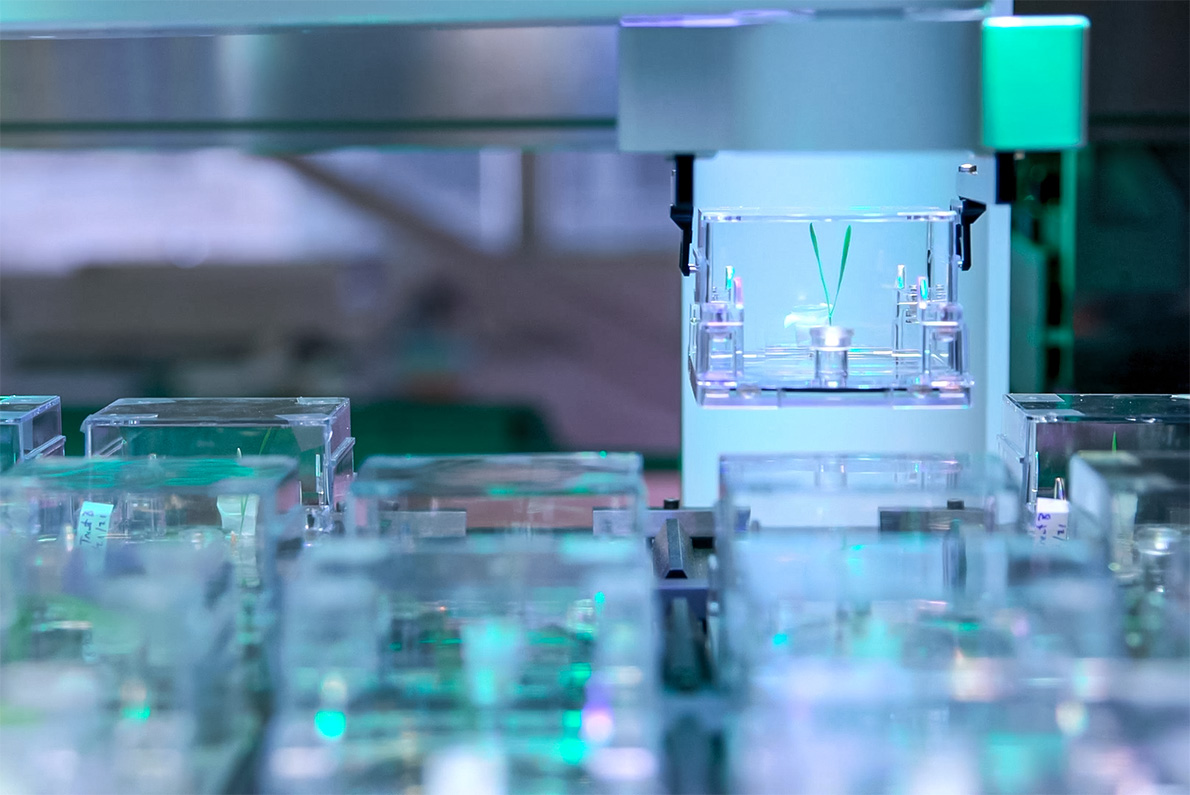 A robotic arm hovers over multiple transparent containers in a lab, holding a case with two green plant shoots, illuminated by soft green and blue light.