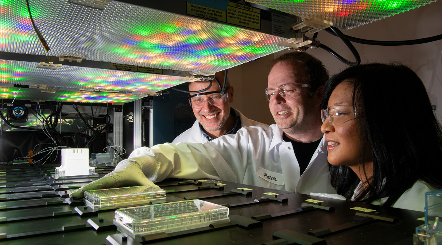 Three lab personnel in white coats and safety glasses are examining sample plates under colorful LED lights at a laboratory workstation.
