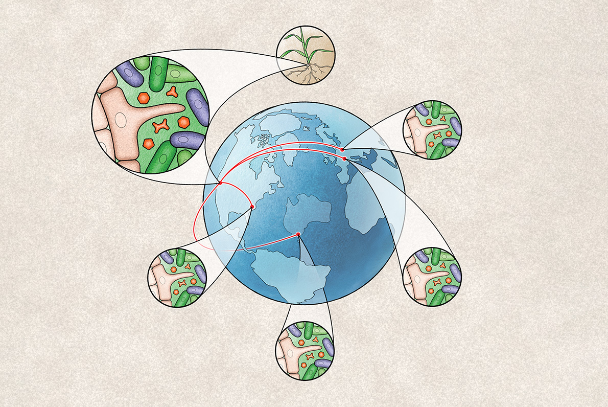 A globe with illustrations of microorganisms surrounding it, connected by red lines, emphasizing the relationship between the Earth and microscopic life.