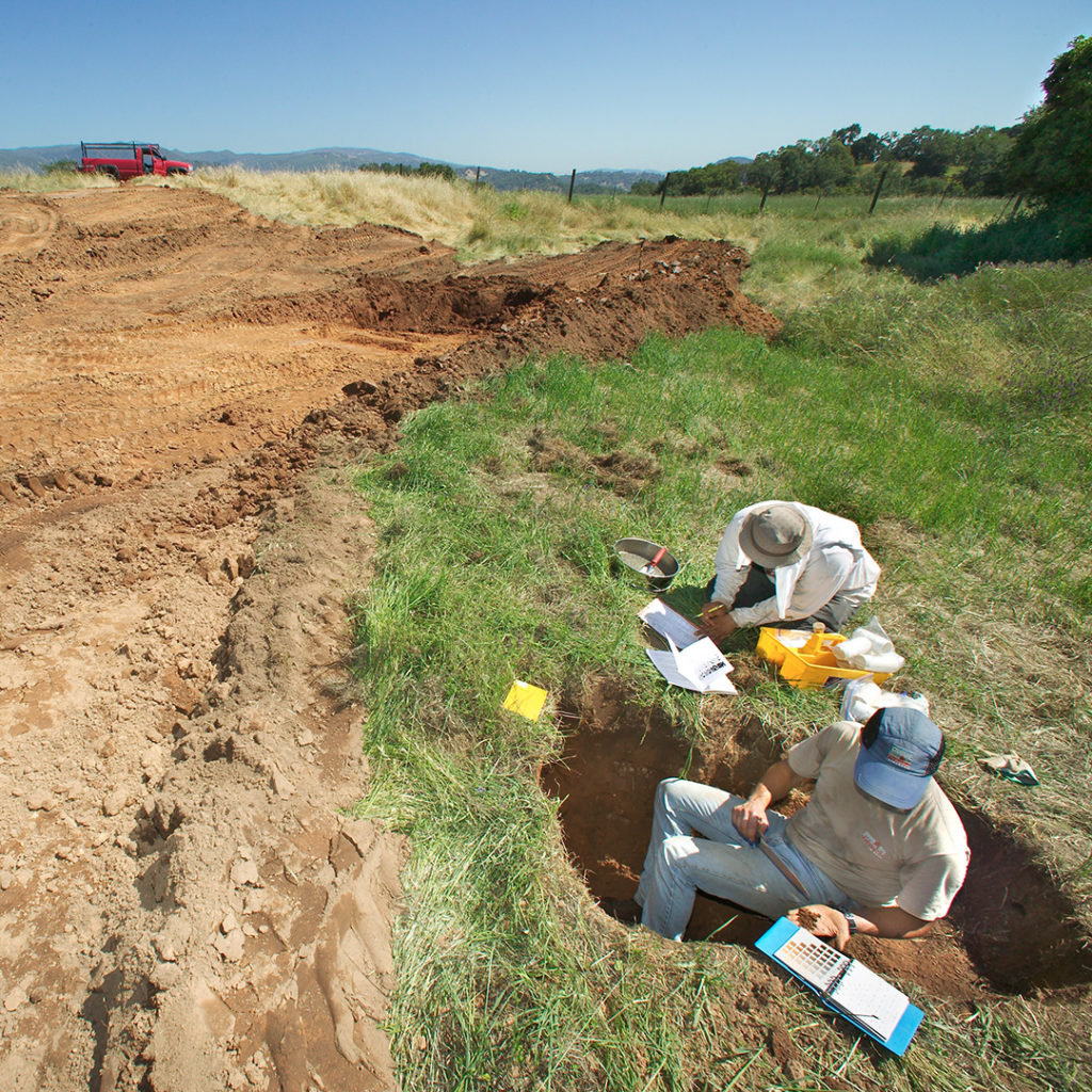 Photo of Berkeley Lab scientists conducting fieldwork at Hopland research center