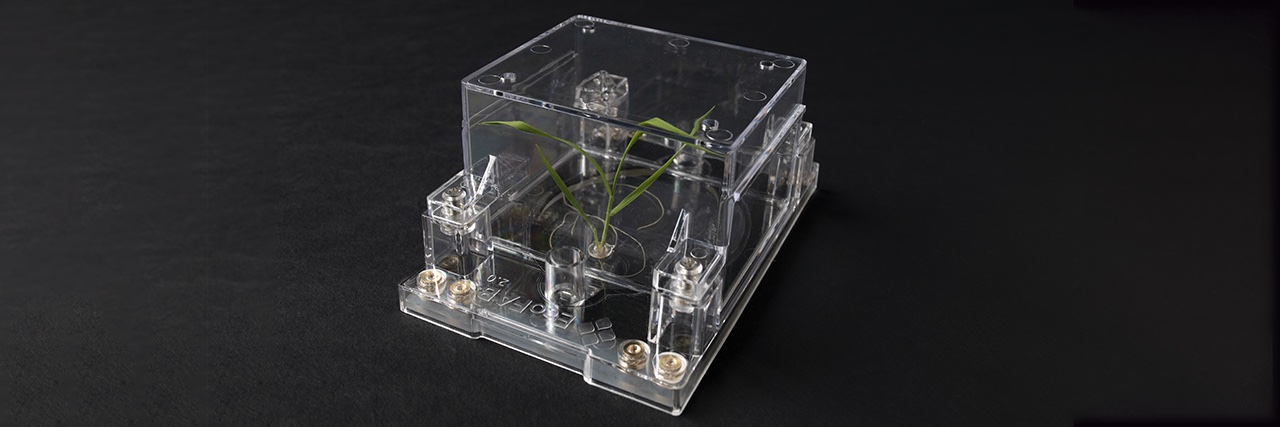 An acrylic device holding a small plant.